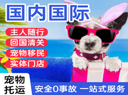 宁远机场托运国际宠物托运 【国
